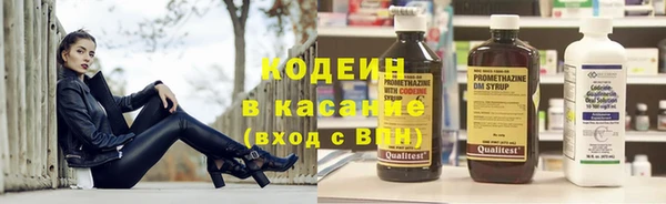 стафф Елизово