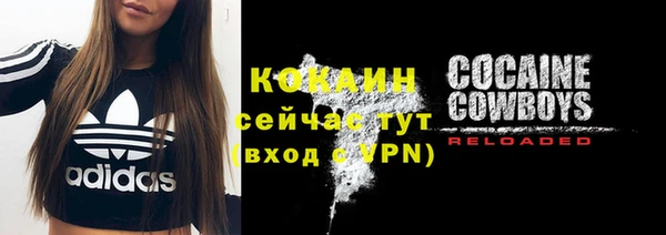 стафф Елизово