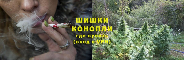 стафф Елизово